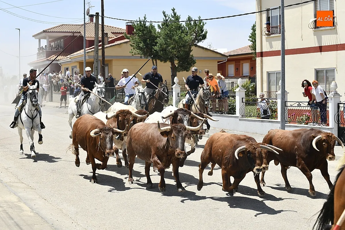 Encierro a Caballo en La Fuente de San Esteban/ Fotos: Adrián M.Pastor