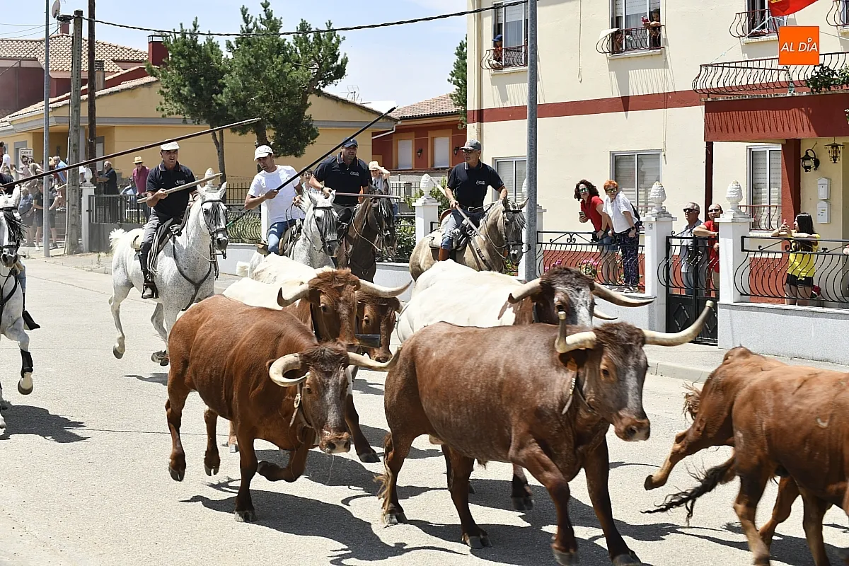 Encierro a Caballo en La Fuente de San Esteban/ Fotos: Adrián M.Pastor
