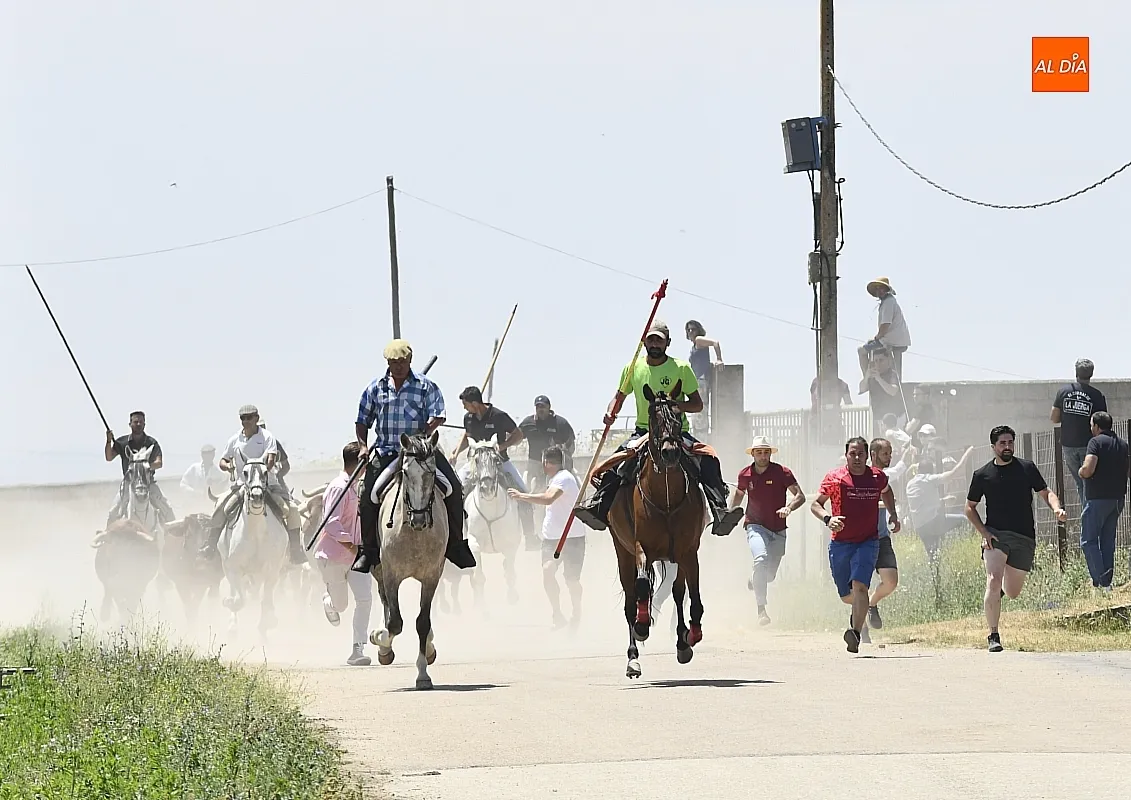 Encierro a Caballo en La Fuente de San Esteban/ Fotos: Adrián M.Pastor