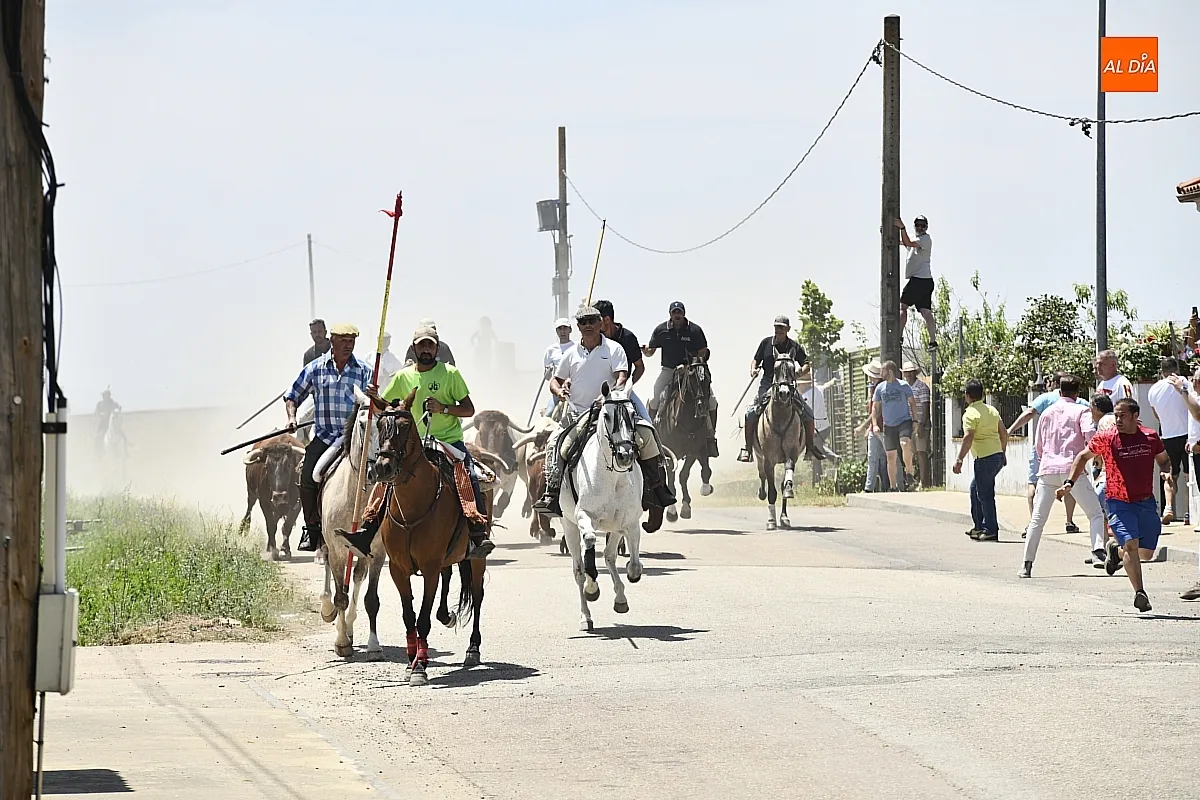 Encierro a Caballo en La Fuente de San Esteban/ Fotos: Adrián M.Pastor