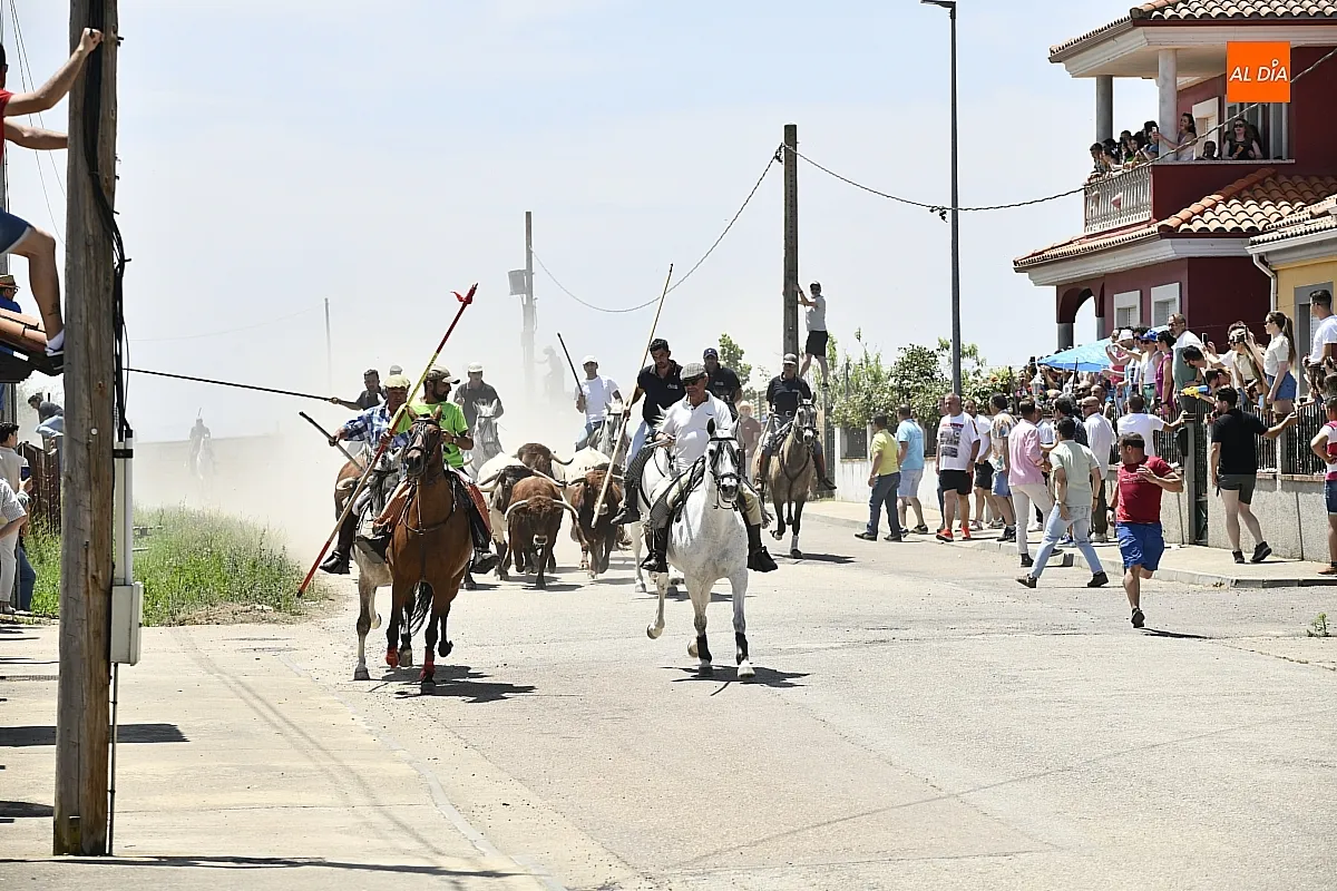 Encierro a Caballo en La Fuente de San Esteban/ Fotos: Adrián M.Pastor