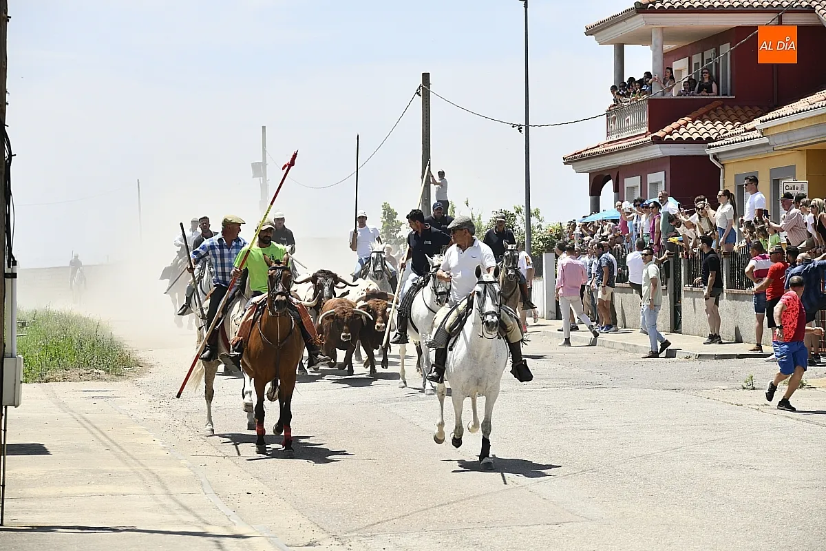 Encierro a Caballo en La Fuente de San Esteban/ Fotos: Adrián M.Pastor