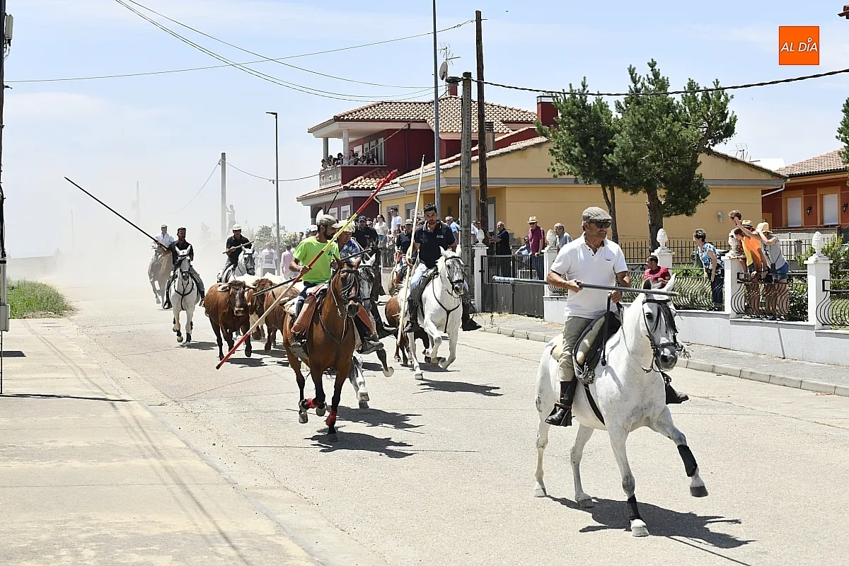 Encierro a Caballo en La Fuente de San Esteban/ Fotos: Adrián M.Pastor
