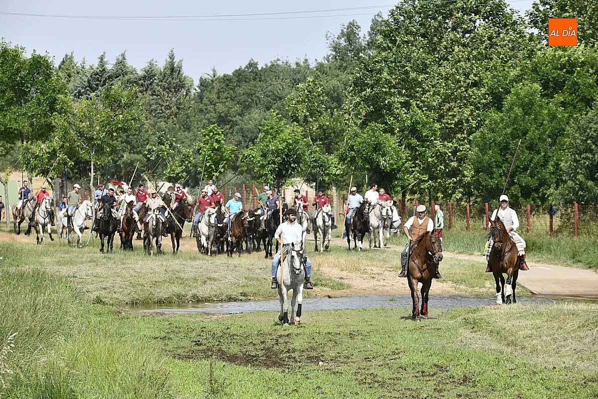 Primer encierro a caballo fiestas Corpus Sancti Spíritus/ Fotos: Adrián M.Pastor