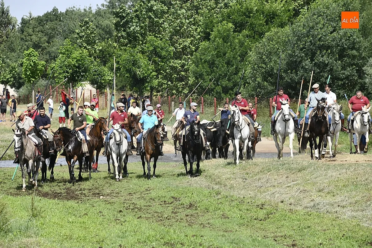 Primer encierro a caballo fiestas Corpus Sancti Spíritus/ Fotos: Adrián M.Pastor