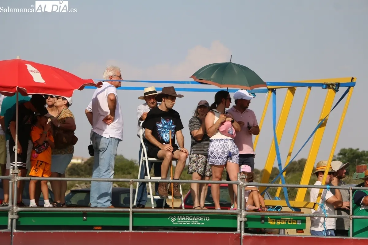 Entretenido festejo taurino en Villar  de Peralonso por las fiestas de San Pedro / CORRAL