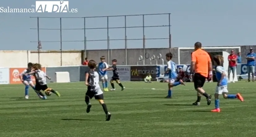 XII Torneo Fútbol 7 Ciudad de Peñaranda