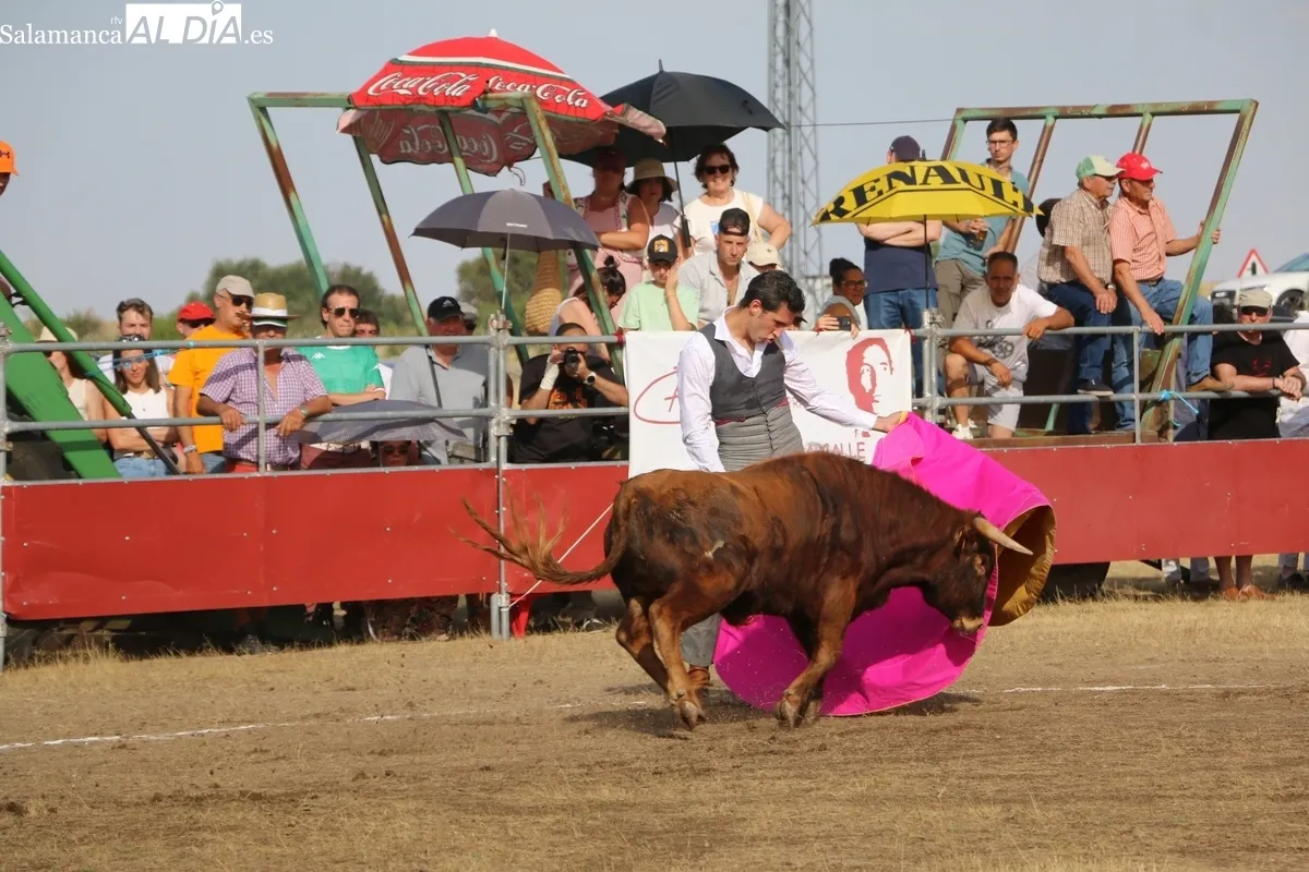 Entretenido festejo taurino en Villar  de Peralonso por las fiestas de San Pedro / CORRAL