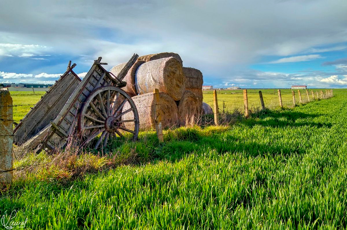 VÍDEO POEMA Viejo labrador, de Manuel Lamas