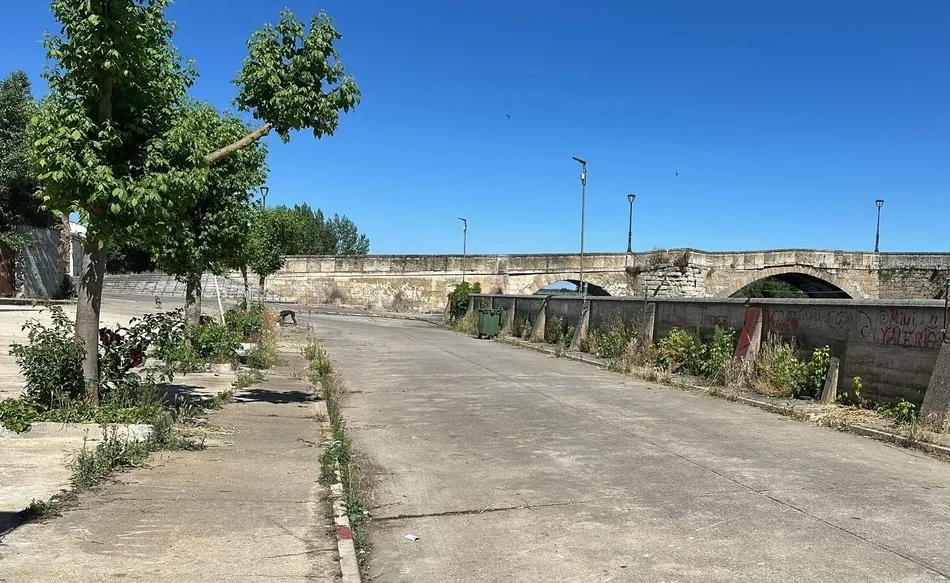 Foto 5 - Vecinos del Arrabal del Puente reclaman la retirada de la vegetaci&oacute;n de la calle Muro