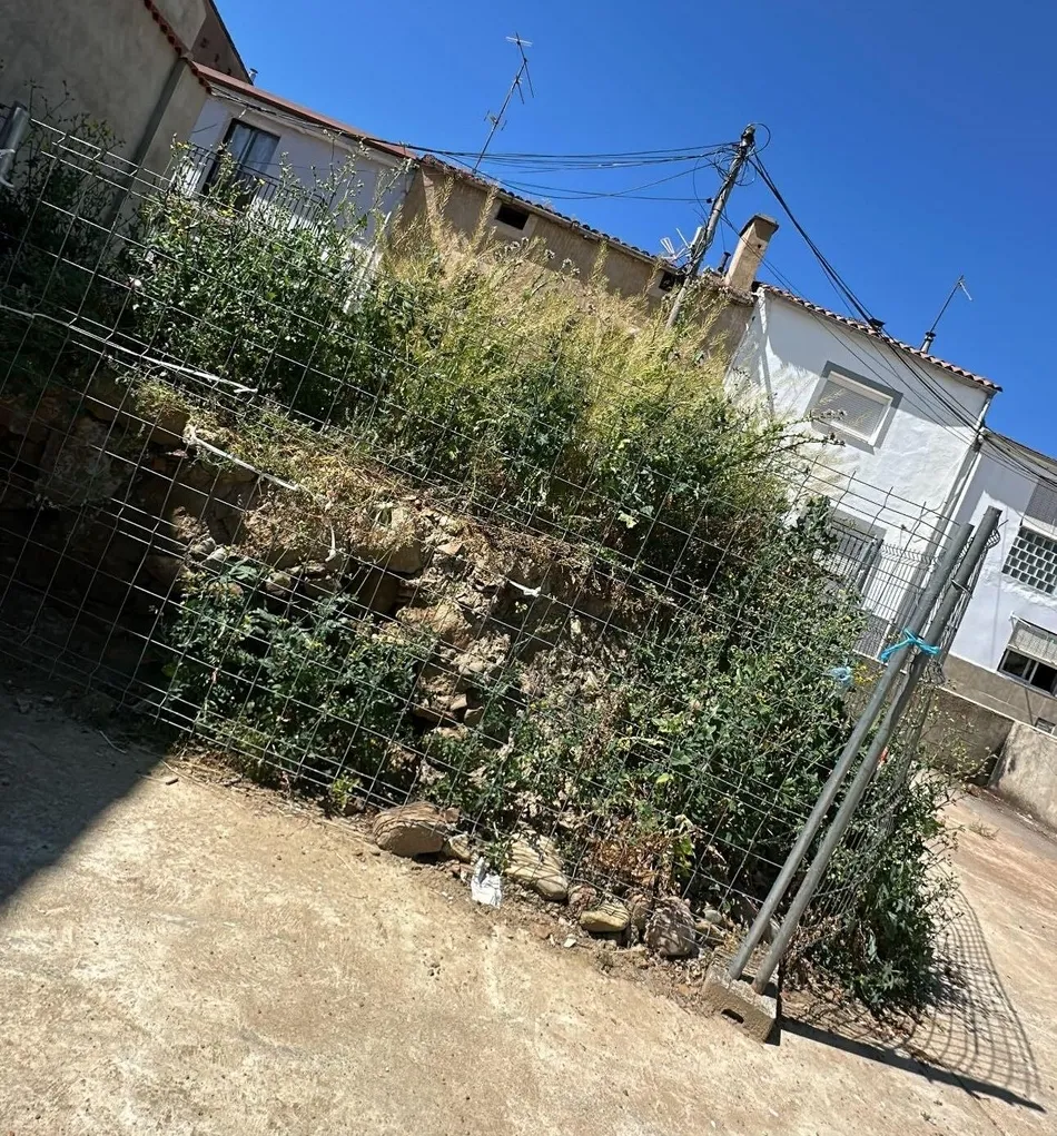Foto 3 - Vecinos del Arrabal del Puente reclaman la retirada de la vegetaci&oacute;n de la calle Muro