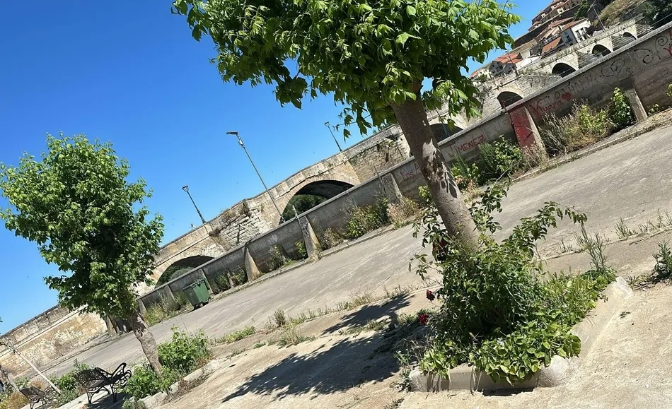 Foto 2 - Vecinos del Arrabal del Puente reclaman la retirada de la vegetaci&oacute;n de la calle Muro