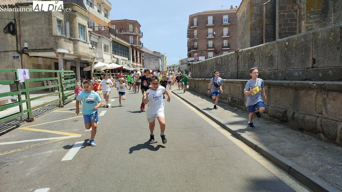 La bueyada infantil de Tauro Tormes llenó de emoción las calles y Plaza de Vitigudino / CORRAL