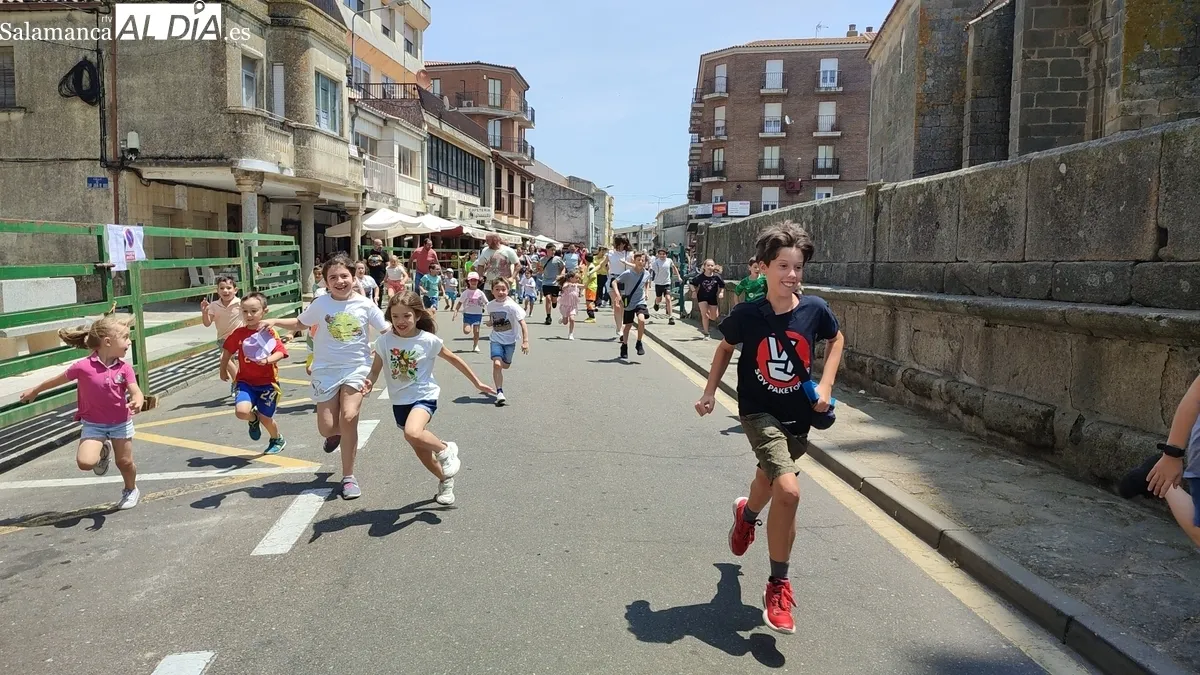La bueyada infantil de Tauro Tormes llenó de emoción las calles y Plaza de Vitigudino / CORRAL