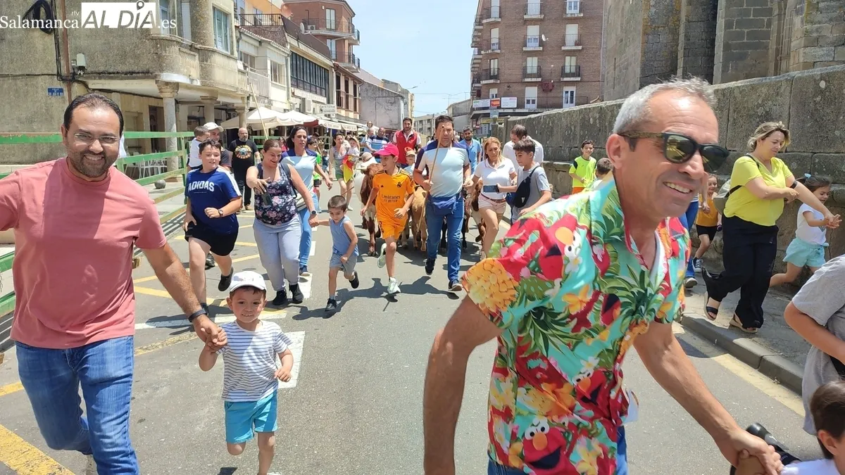 La bueyada infantil de Tauro Tormes llenó de emoción las calles y Plaza de Vitigudino / CORRAL