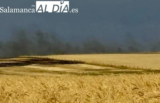 Foto 6 - Hasta 13 medios, entre a&eacute;reos y terrestres, logran extinguir un potente incendio de cultivos en Malpartida