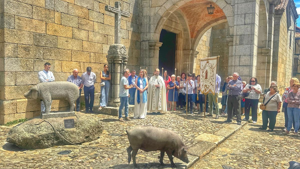 La Alberca transforma su tradición: el Marrano de San Antón no será rifado