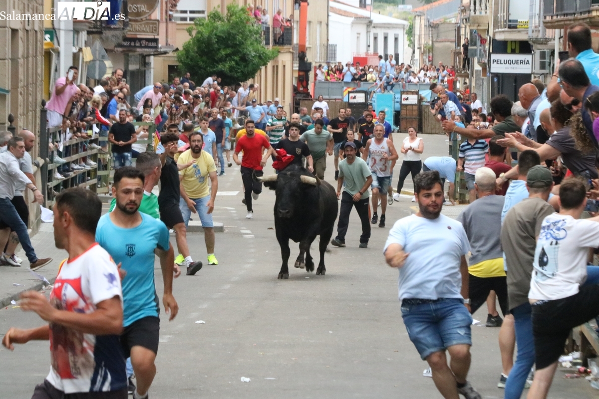 Multitudinario IX Toro de Cajón del pre-Corpus de Vitigudino