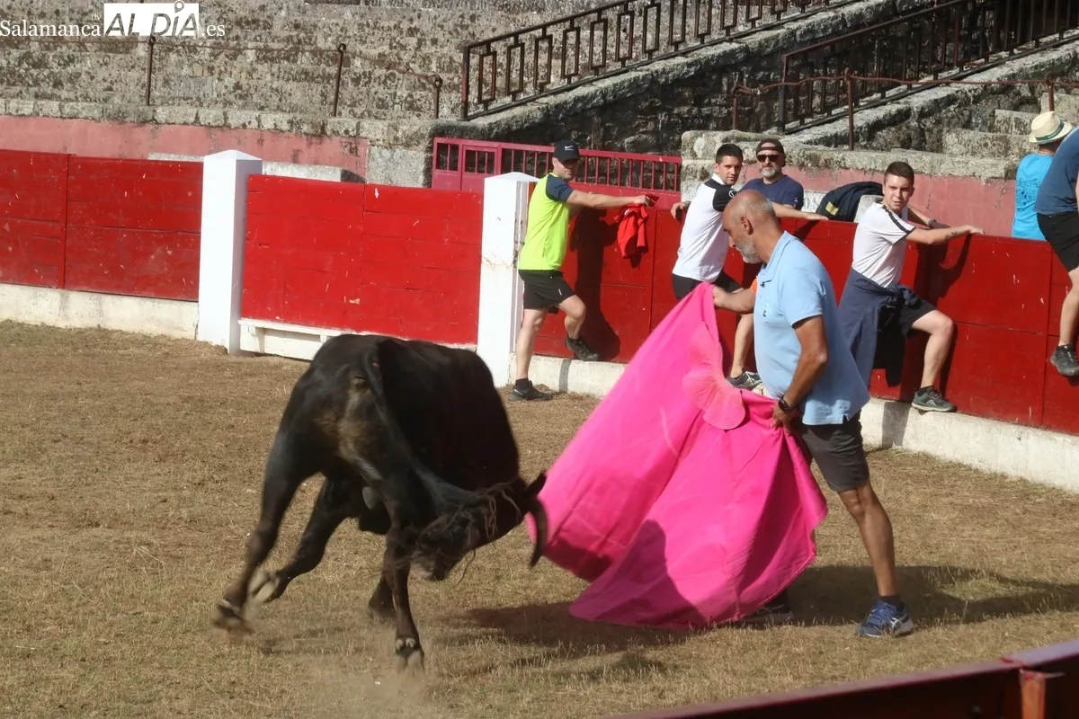 Entretenida capea de sábado de Corpus en Vitigudino / CORRAL