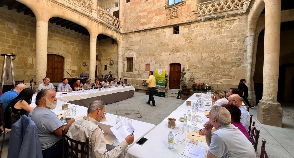 Cata de la añada 2024 de la D.O. Arribes por especialistas 