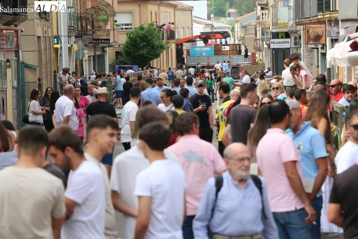 Multitudinario IX Toro de Cajón del pre-Corpus en Vitigudino este sábado 14 de junio / CORRAL