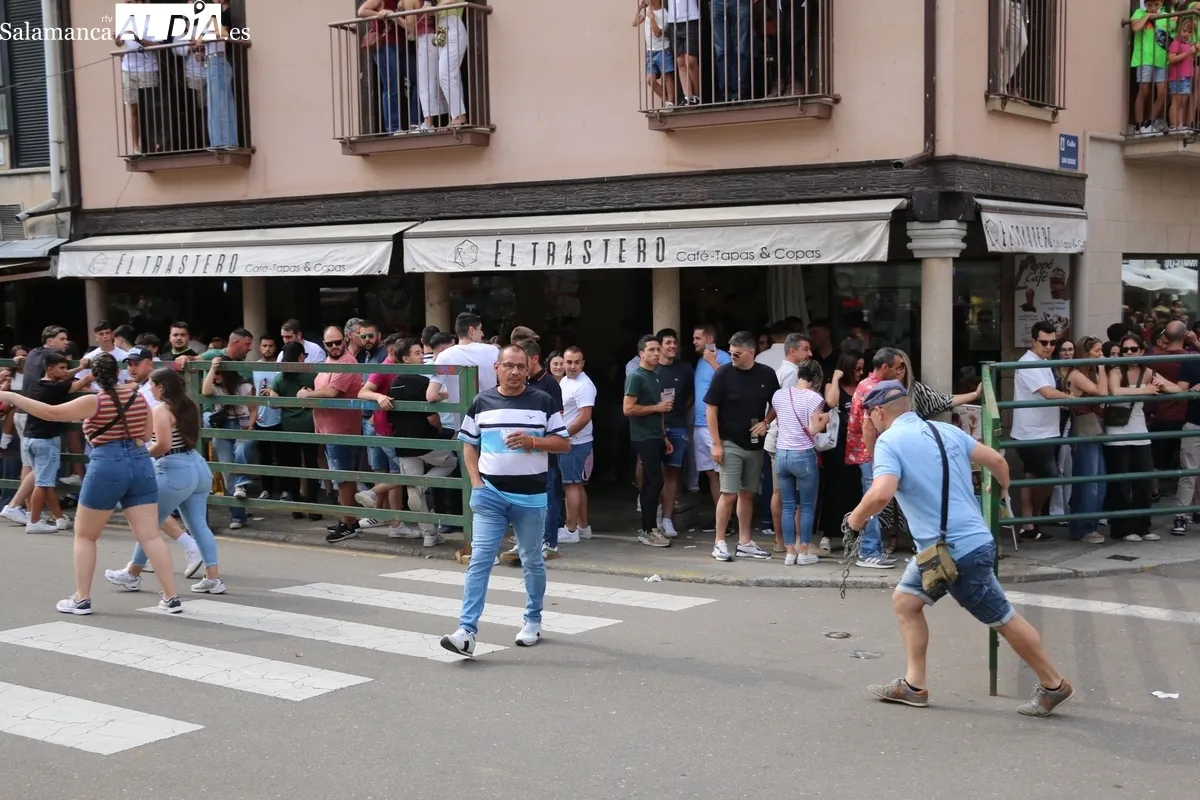 Multitudinario IX Toro de Cajón del pre-Corpus en Vitigudino este sábado 14 de junio / CORRAL