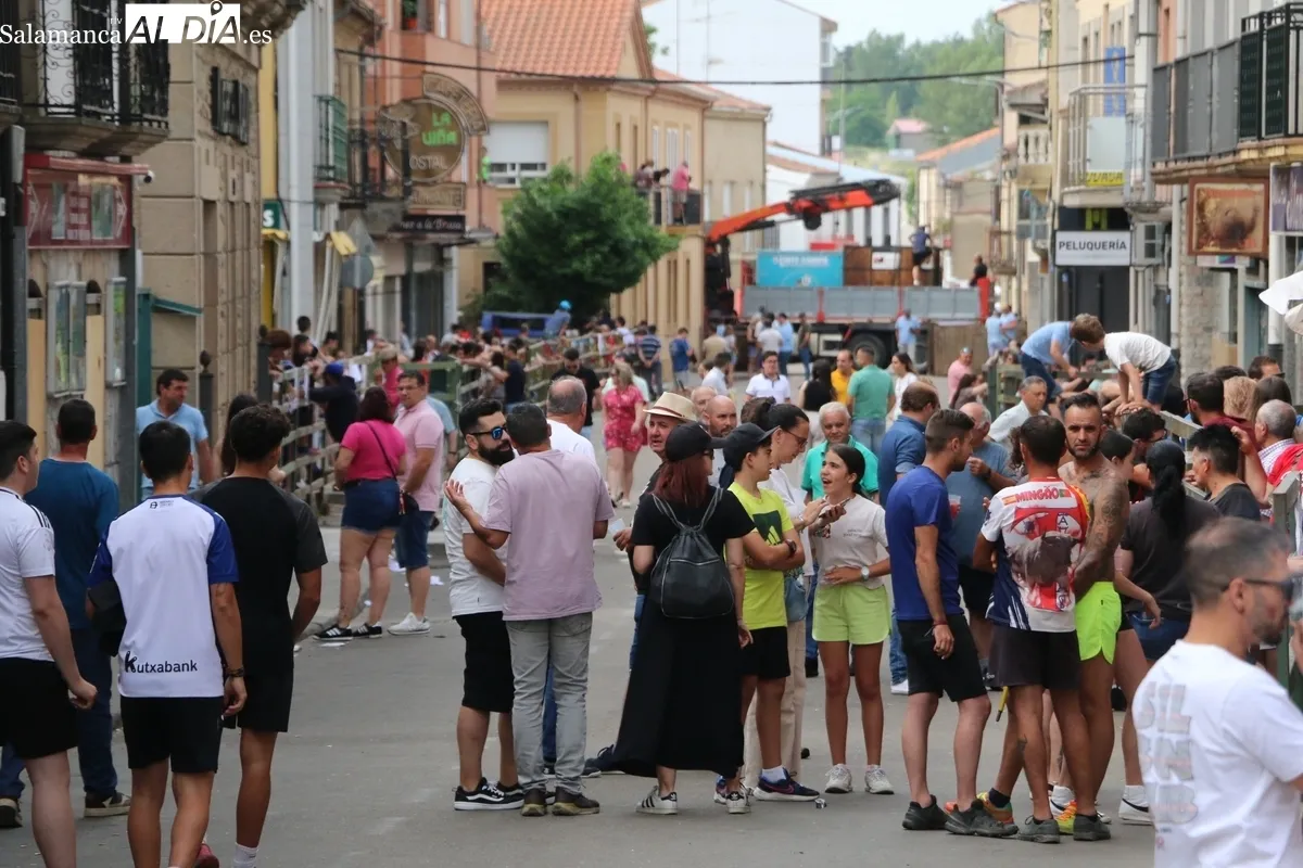 Multitudinario IX Toro de Cajón del pre-Corpus en Vitigudino este sábado 14 de junio / CORRAL