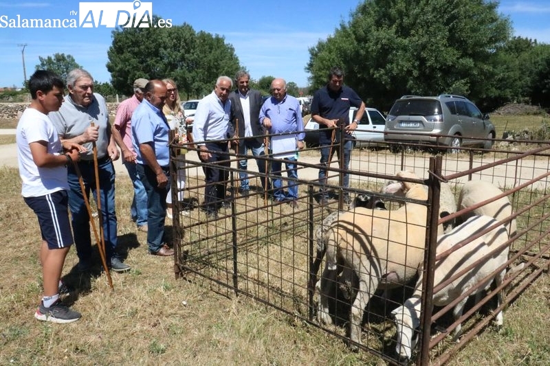La Feria Ganadera animará el fin de semana en Bañobárez