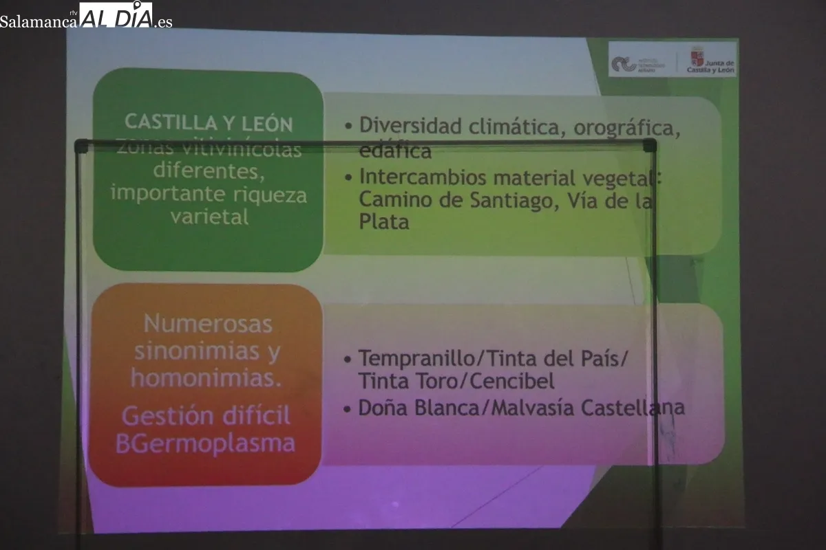 Presentación a cargo de la concejala Belén Maldonado y ponencia de José Antonio Rubio, técnico del Itacyl / CORRAL