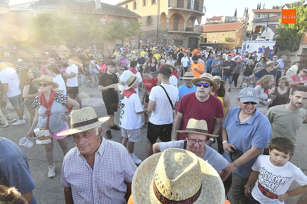 Izado pino de San Juan en Robleda/ Fotos: Adrián M.Pastor