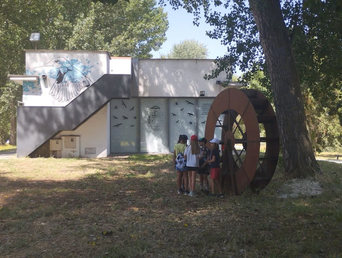 Juego de orientación de los alumnos del colegio Carmen Martín Gaite en la Isla del Soto de Santa Marta