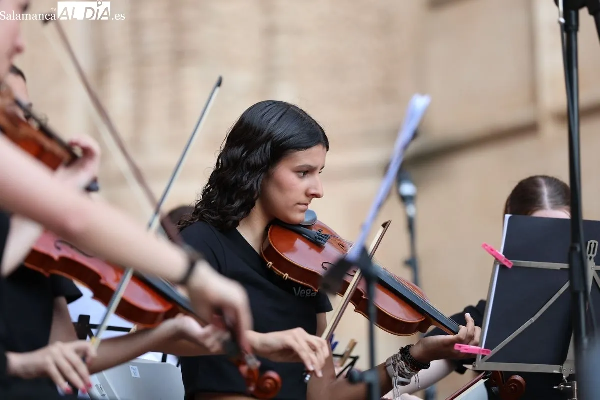 Concierto de la Orquesta de Cuerda y Banda de la Escuela Municipal de Música y Danza. Fotos: David Sañudo