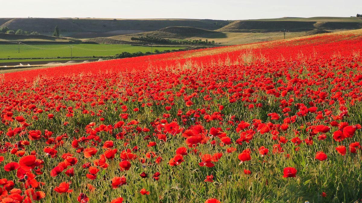 Aldearrubia, Salamanca