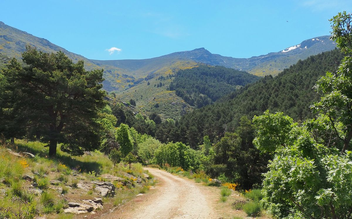Candelario, Salamanca