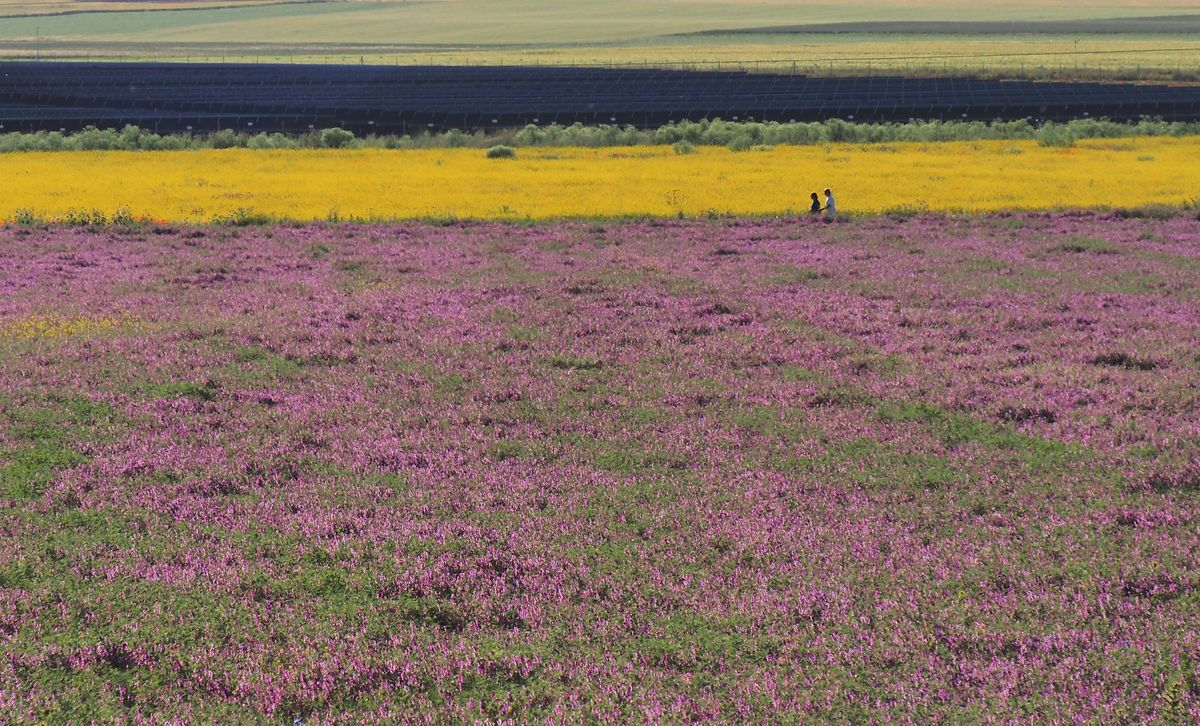 Monterrubio de la Armuña, Salamanca