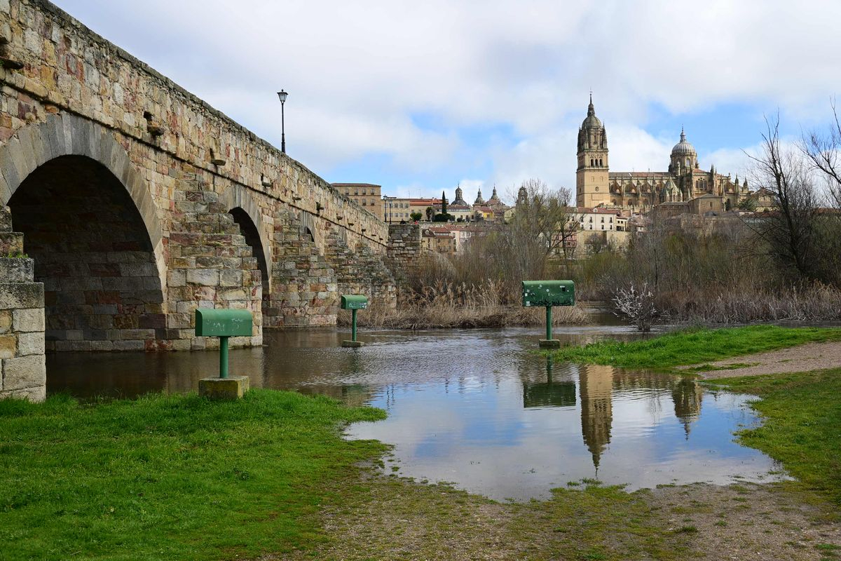 Puente Romano y Catedral Nueva de Salamanca