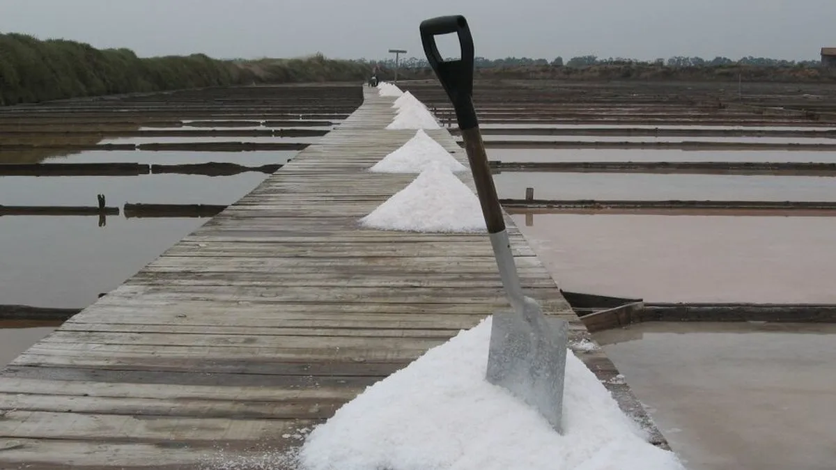 Salinas de Figueira da Foz (Portugal) 