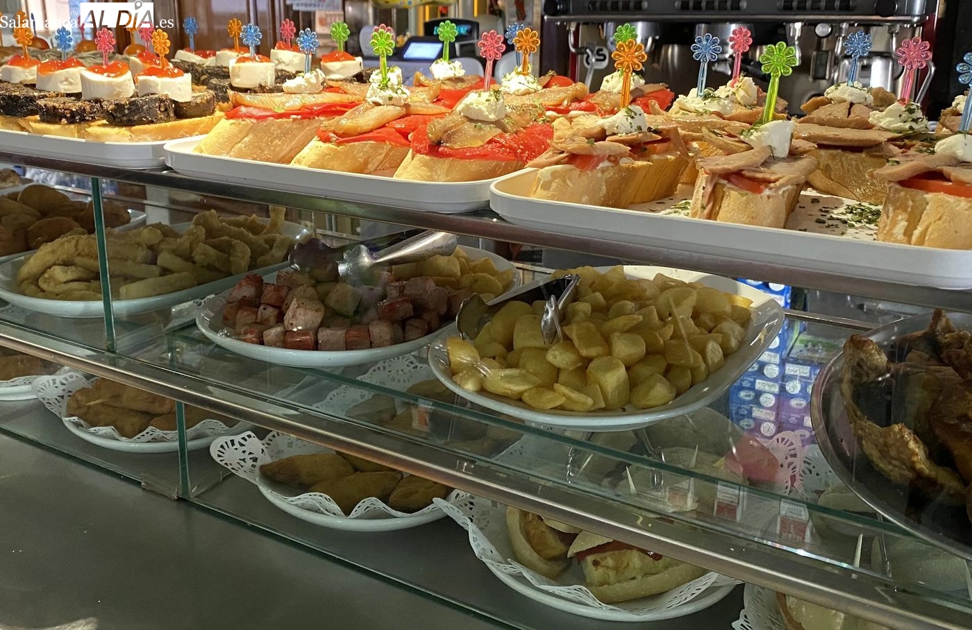 Tapas Salamanca: guía de las mejores zonas y sabores