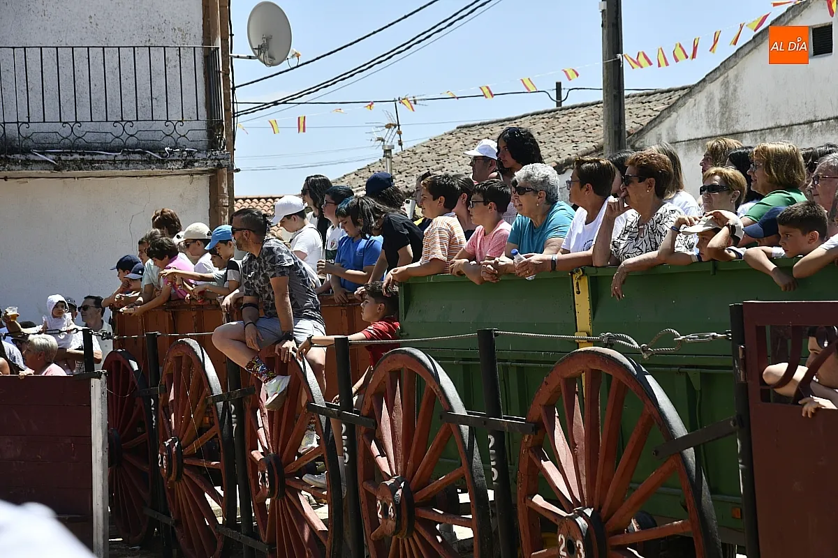 Vaquillas en la mañana del sábado en Martín de Yeltes/ Fotos: Adrián M.Pastor