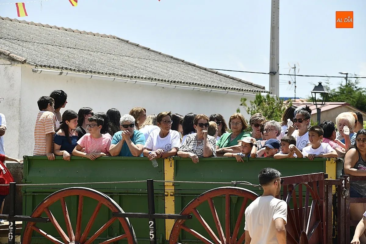 Vaquillas en la mañana del sábado en Martín de Yeltes/ Fotos: Adrián M.Pastor