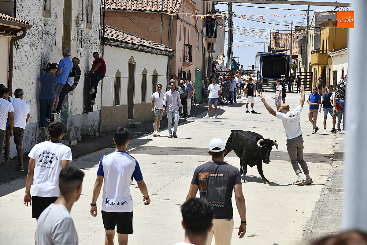 Martín de Yeltes se entrega a la pasión taurina por San Antonio