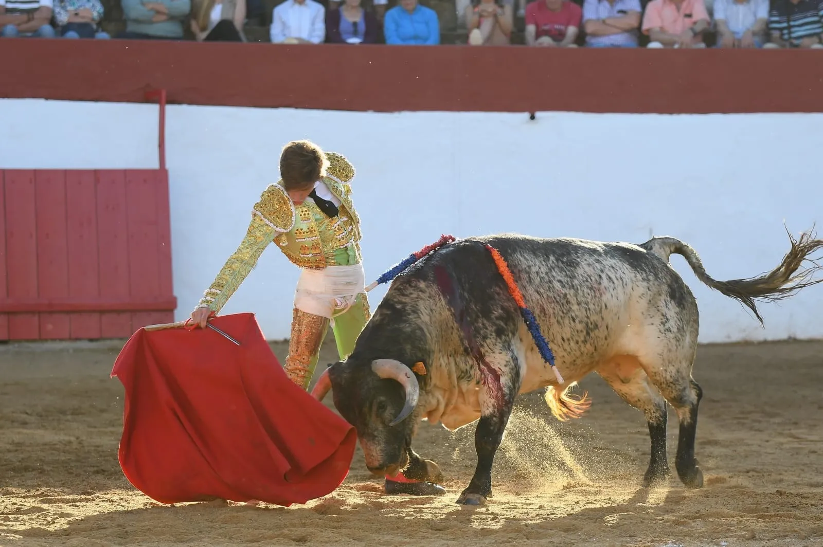 Apabullante tarde de Julio Norte, que triunfa con Salvador Herrero en su debut con picadores  