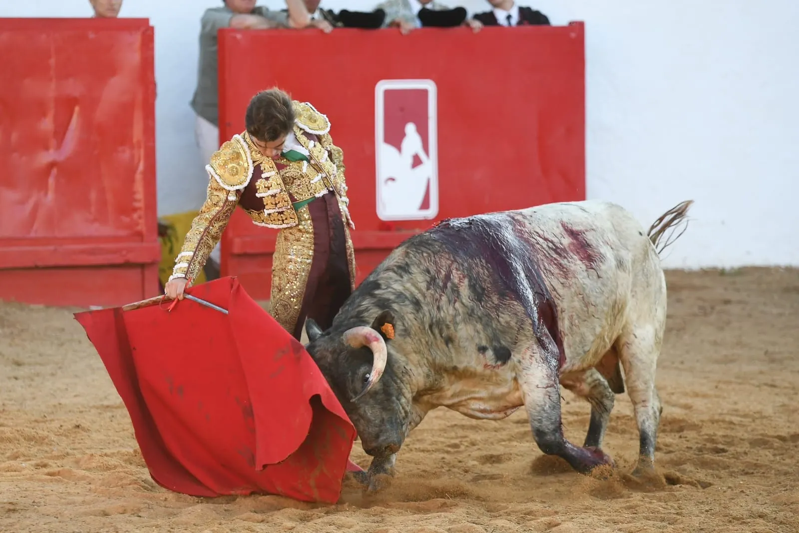 Apabullante tarde de Julio Norte, que triunfa con Salvador Herrero en su debut con picadores  