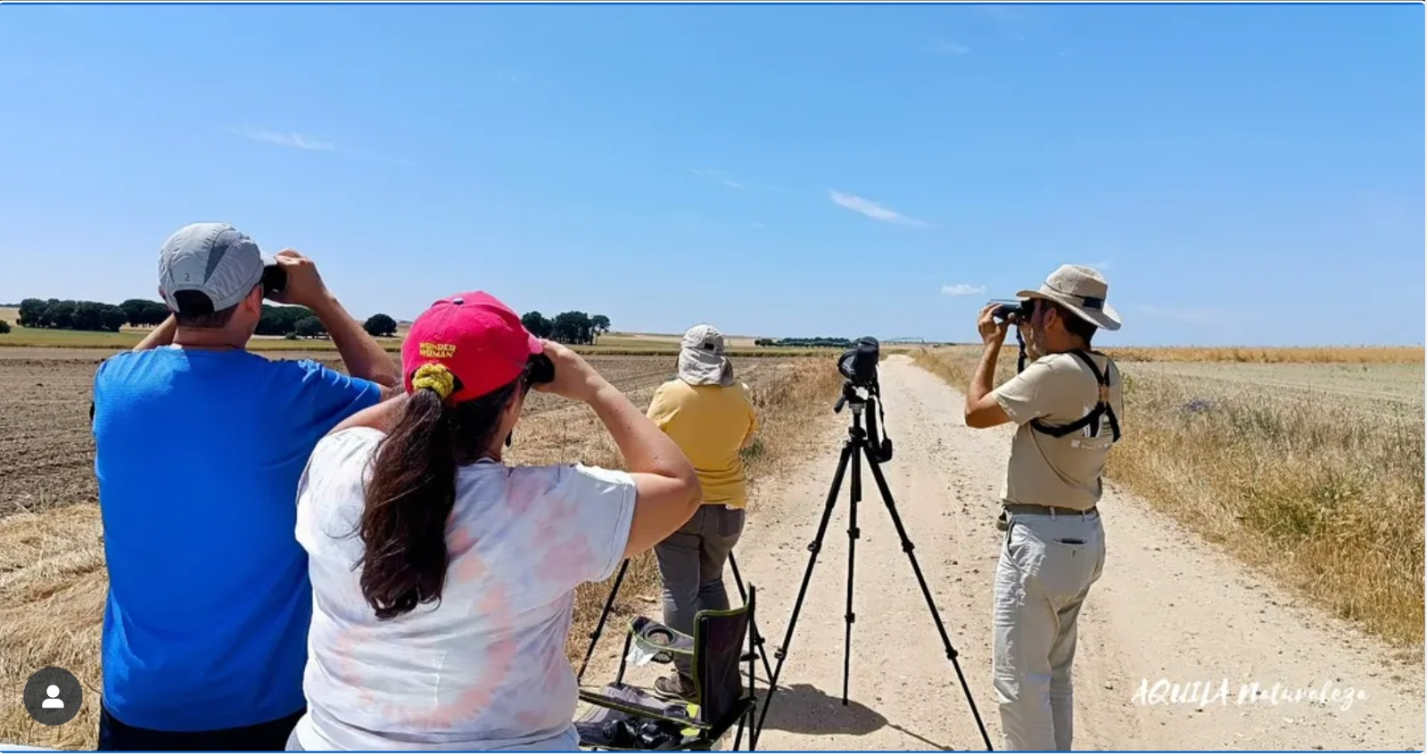 SEO/BirdLife Salamanca: rutas y talleres en la naturaleza