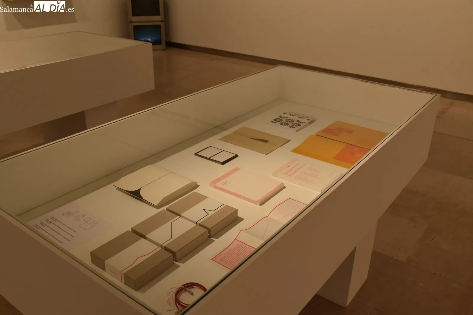  ‘Y libros también’, una exposición que une arte visual y edición independiente | FOTOS: Miguel González 
