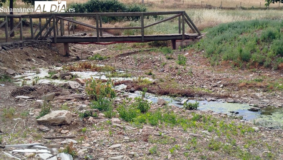 Escasez agua Terradillos: vecinos denuncian al Procurador