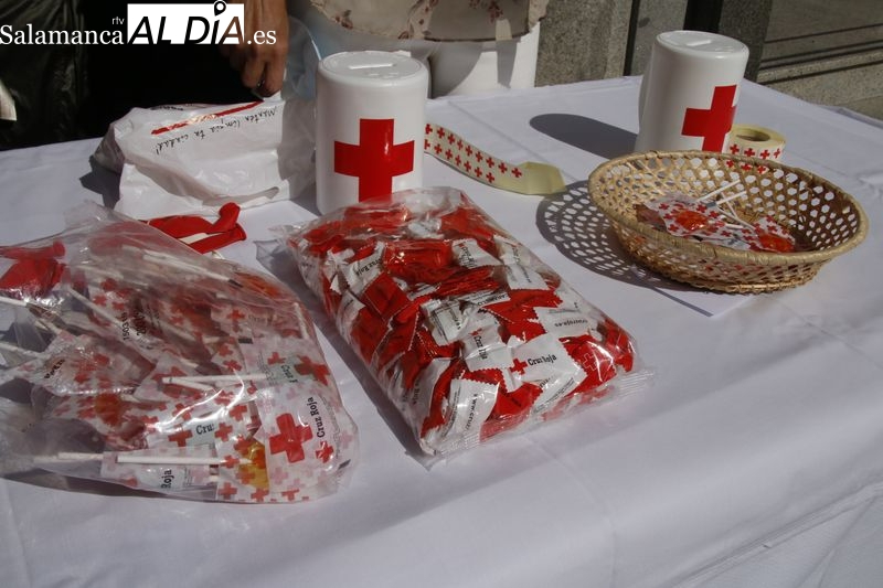Cruz Roja Salamanca: Fiesta Banderita por la infancia el 7 junio