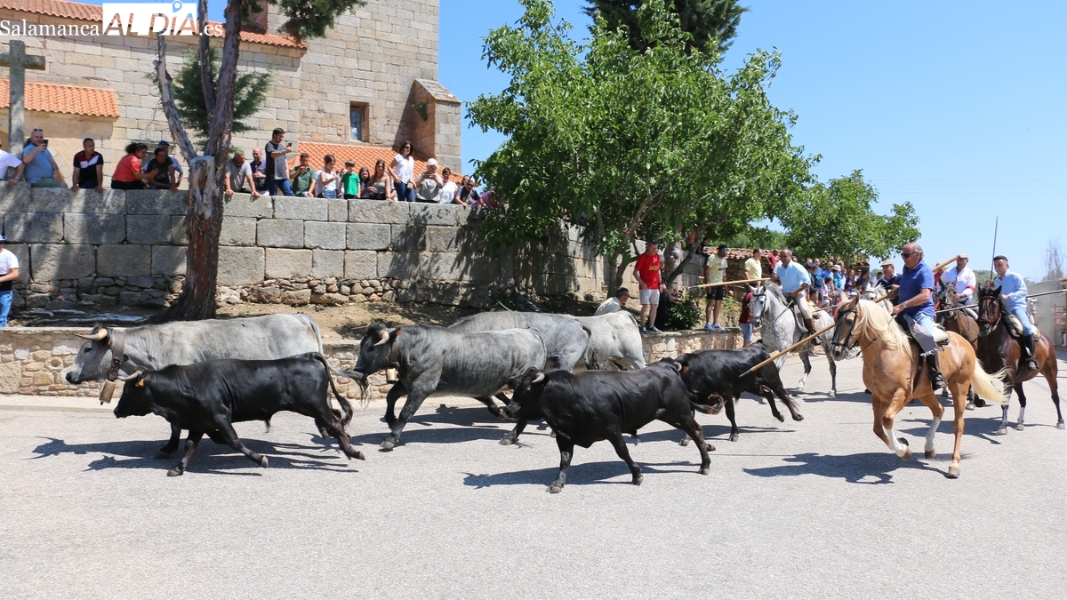 Fiestas San Juan Bogajo 2025: programa completo y actos