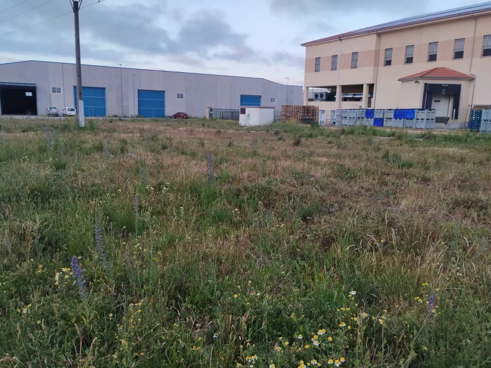 Foto 2 - Pe&ntilde;aranda en Com&uacute;n denuncia el incumplimiento de la normativa municipal en solares municipales y privados