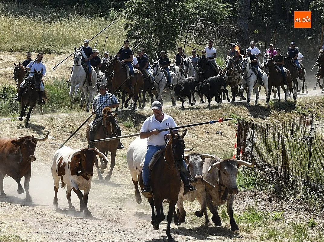 Encierro a Caballo en Navasfrías/ Fotos: Adrián M.Pastor
